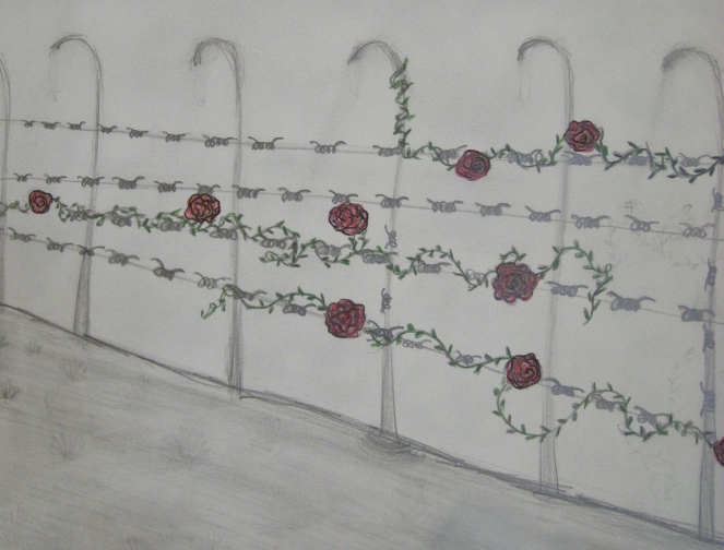 Concorso “Bozzetto Tessera Amici A.N.E.D. 2012”